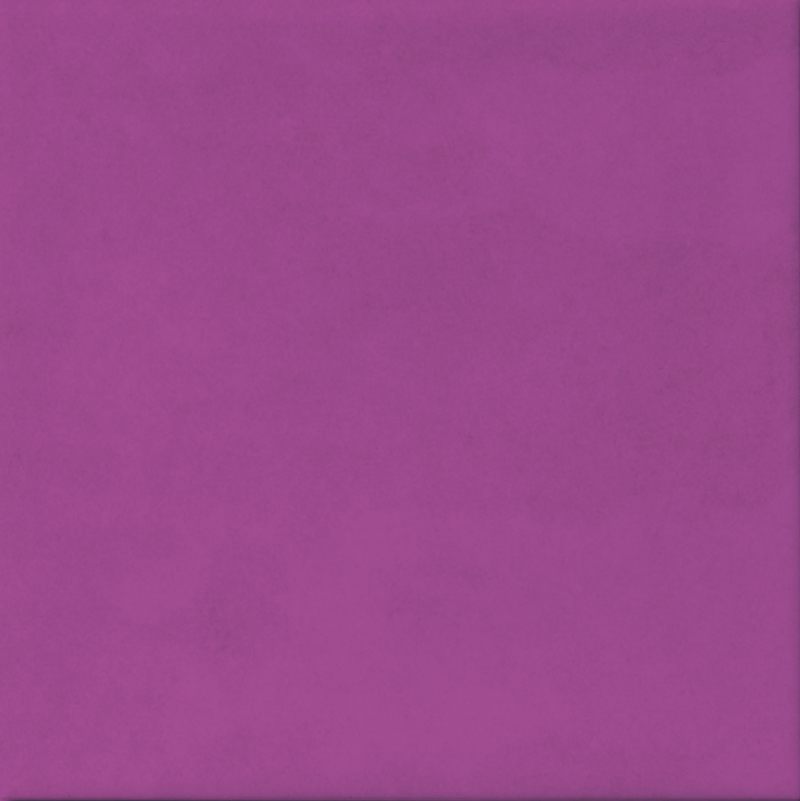 1515103.jpg