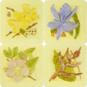 DC101055-K-Flora-s.jpg