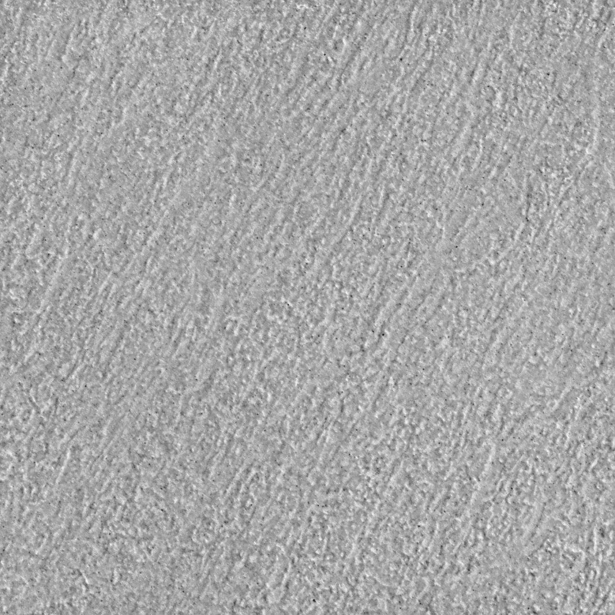 3060189--GREY.jpg