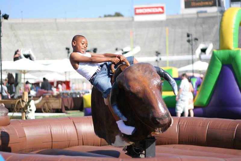 Mechanical Bull
