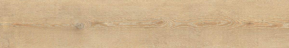 2012016-C-Foscari2.jpg