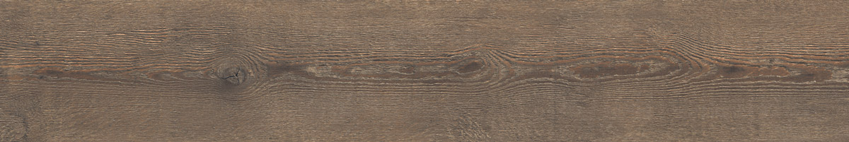 2012017-C-Foscari2.jpg
