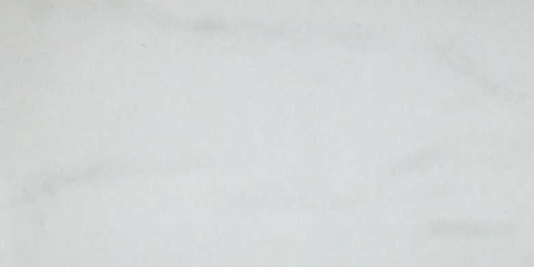 336601MT.jpg