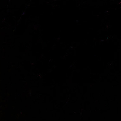333308.jpg