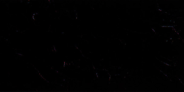 336602MT.jpg