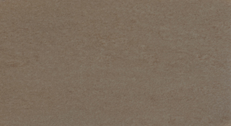 305621-Vision-s1.jpg