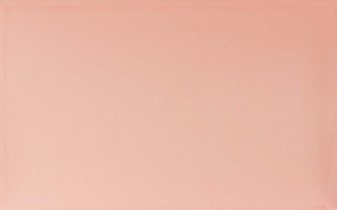 254003P.jpg