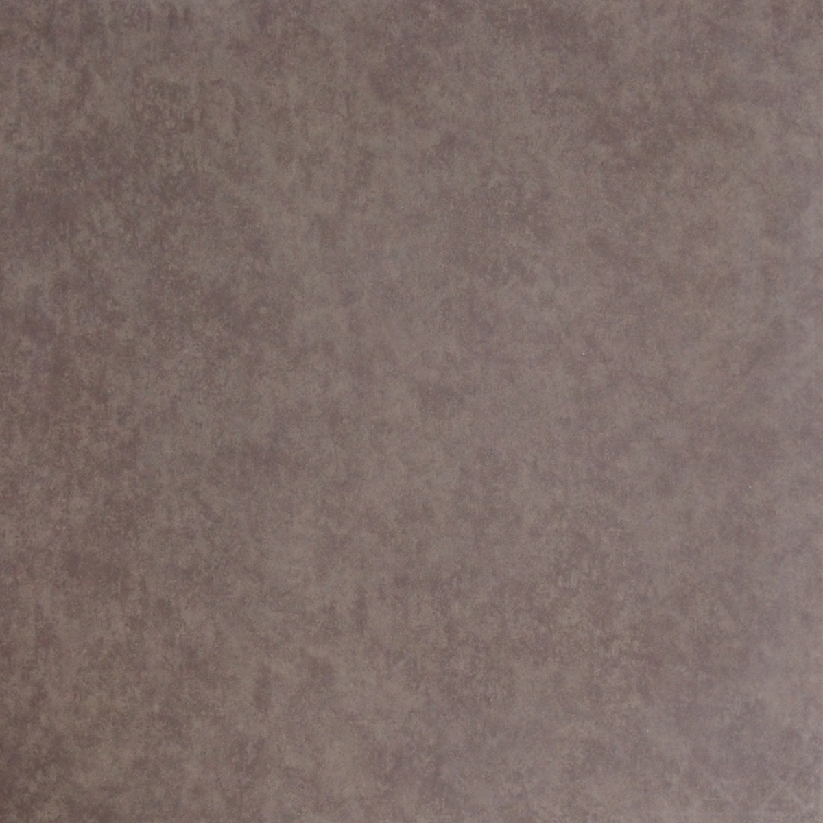 454537.jpg