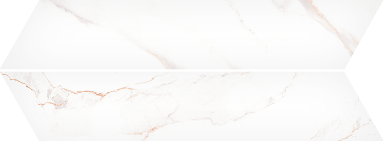 ME08403-2.png