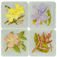 DC101052-K-Flora-s.jpg
