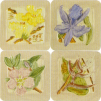 DC101053-K-Flora.jpg