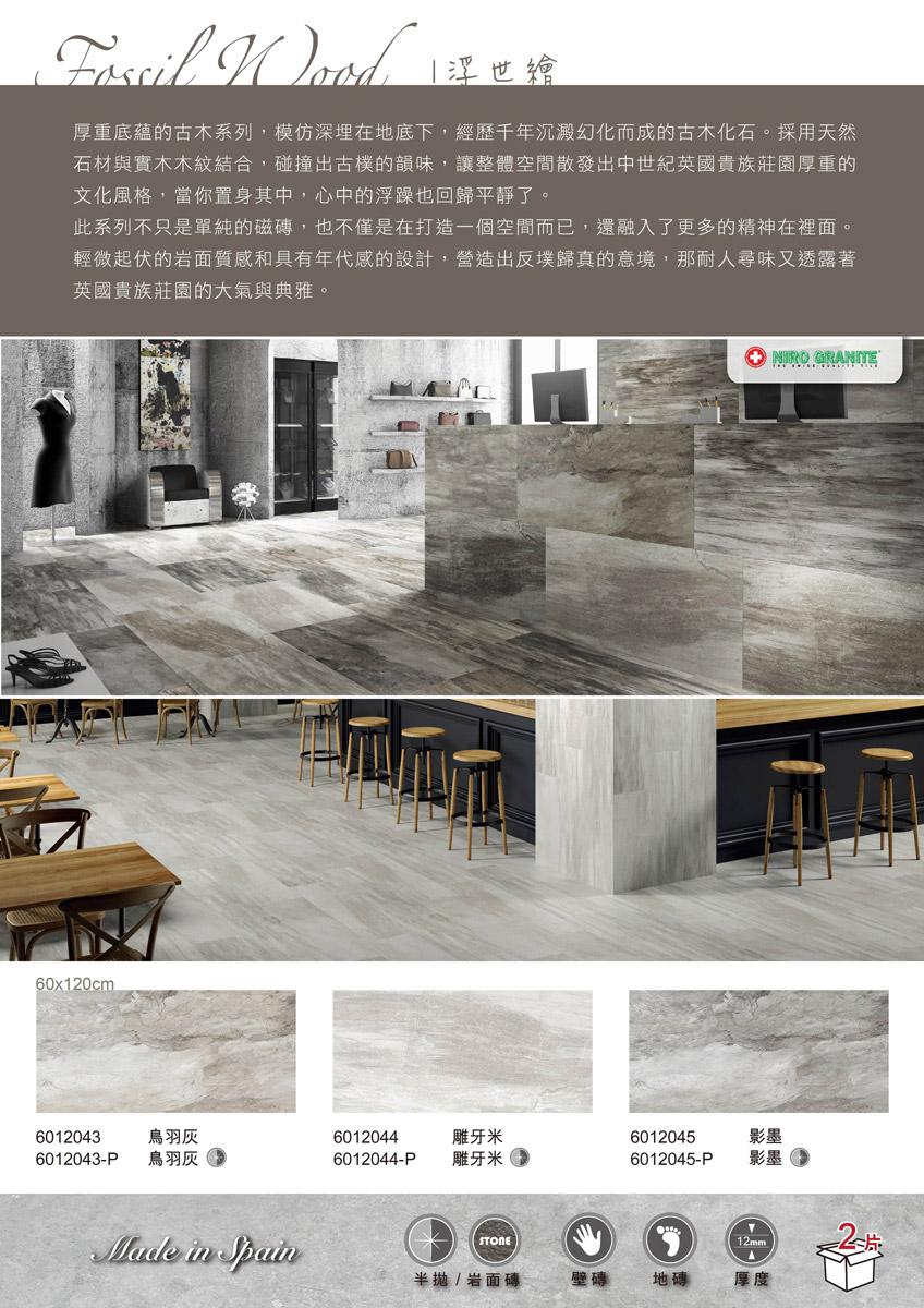 Fossil-Wood-DM.jpg