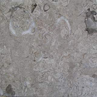 MM0072.jpg