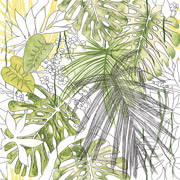 6060189-Jungle-1-s.jpg