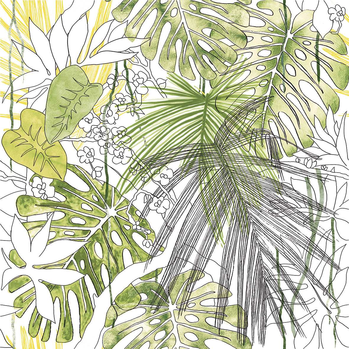 6060189-Jungle-1.jpg
