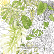 6060189-Jungle-2-s.jpg