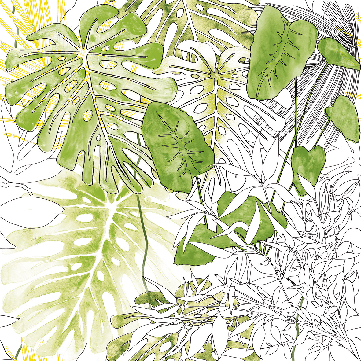 6060189-Jungle-2.jpg