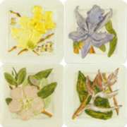 DC101051-K-Flora-s.jpg