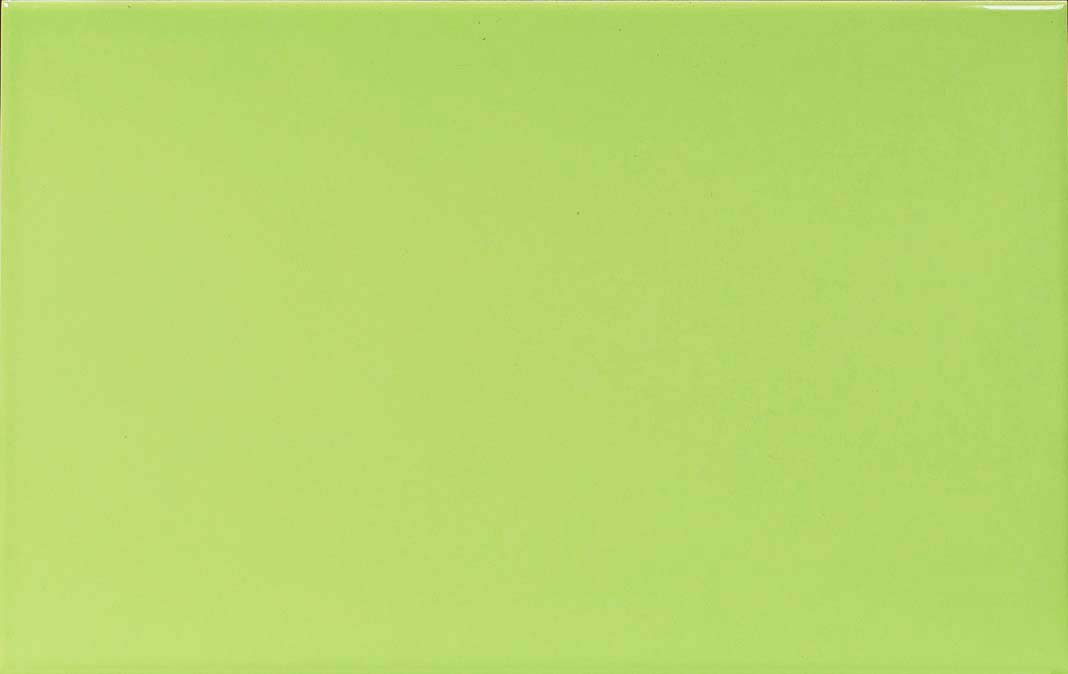 254004P.jpg