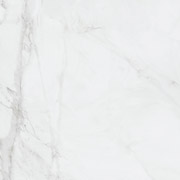 8080013-M-lux-s.jpg