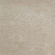 P_20201217_115047-S.jpg