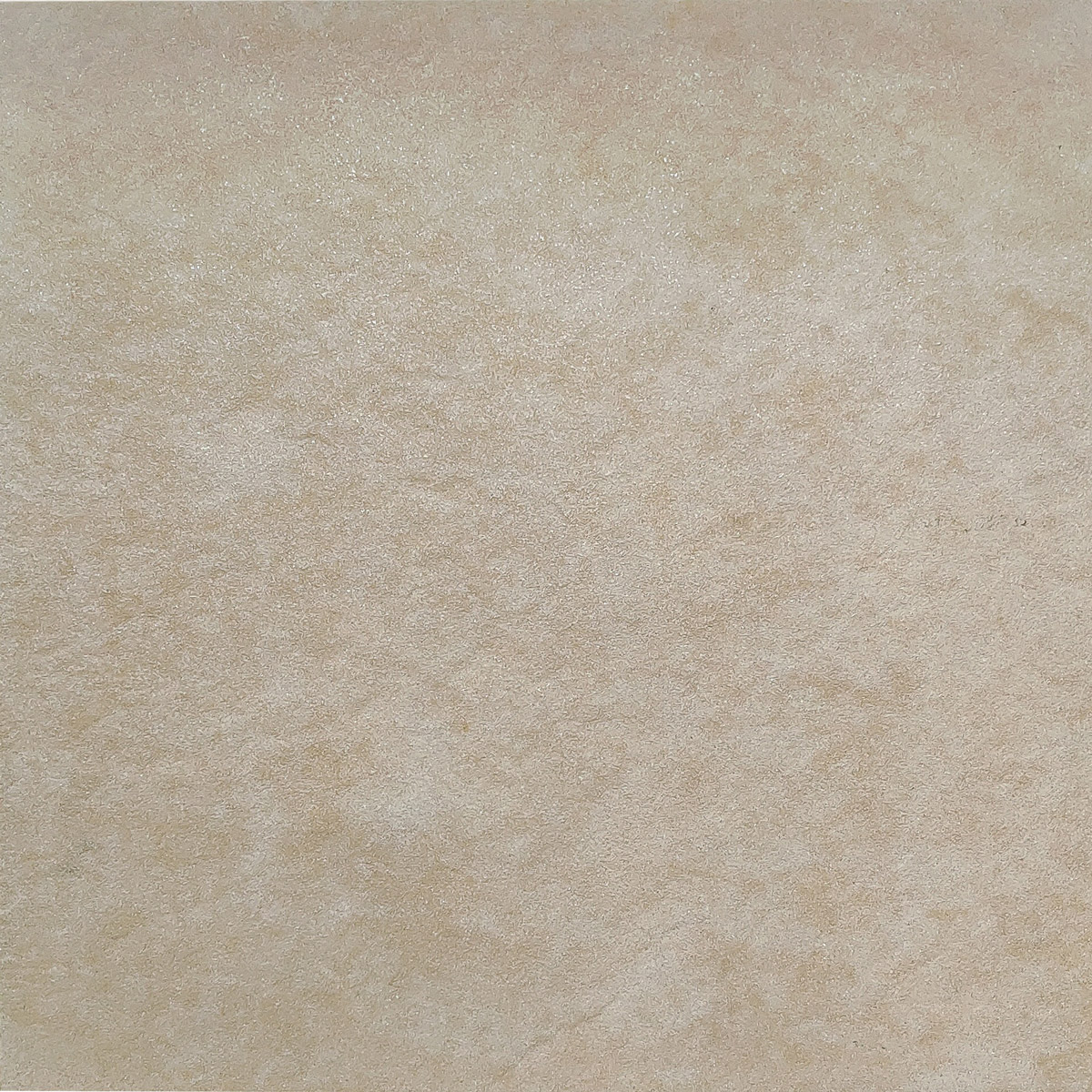 P_20201217_115047.jpg