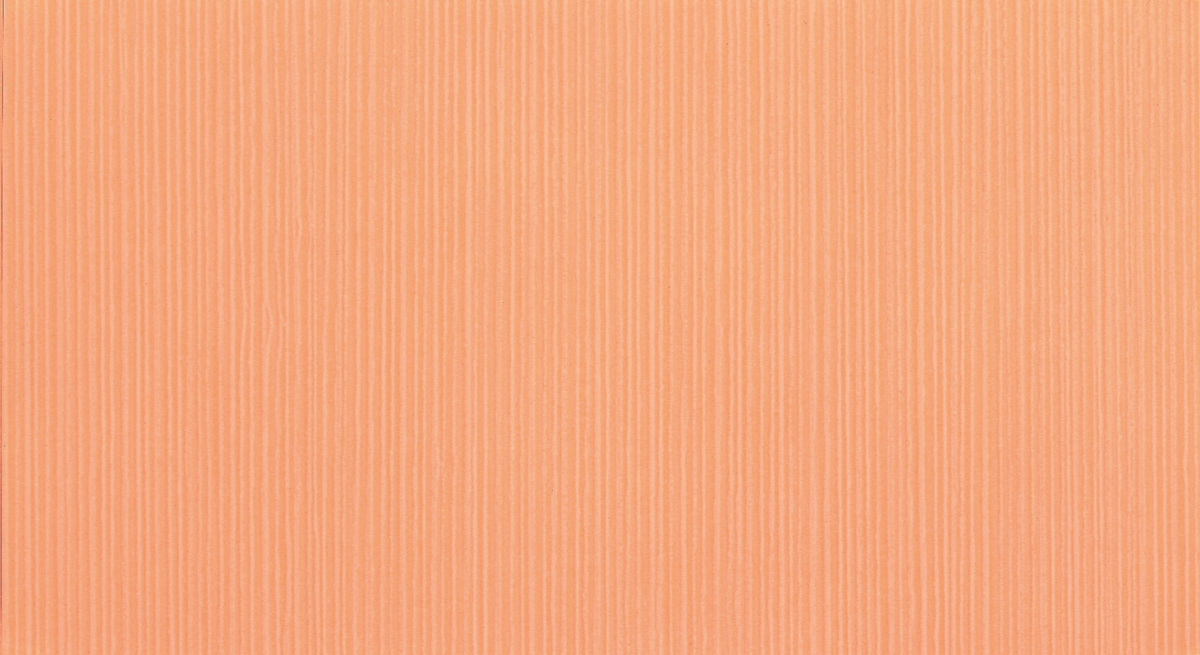 305616-Vision.jpg