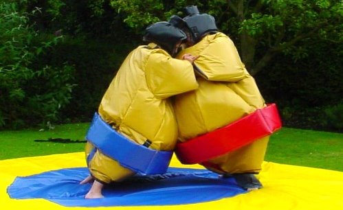 sumosuits crop