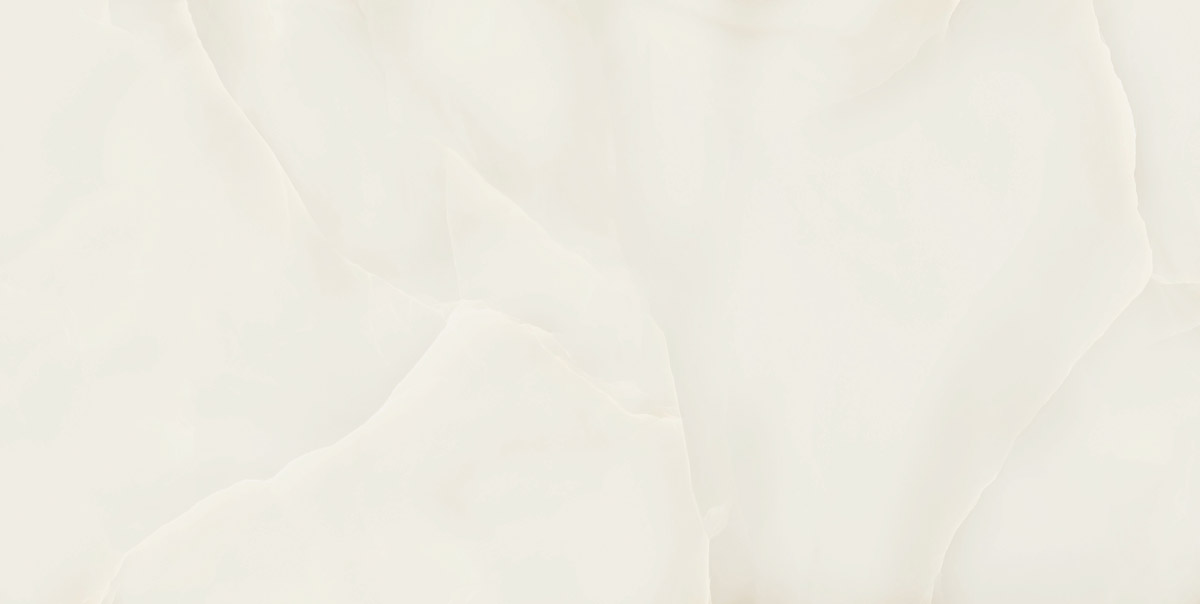 60120228-Prestigio-Onyx-l.jpg
