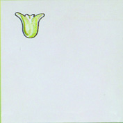 DC151546-Primavera.jpg