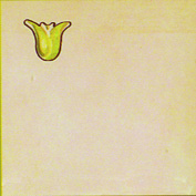 DC151547-Primavera.jpg