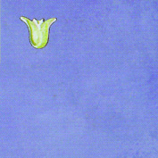 DC151551-Primavera.jpg