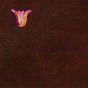 DC151556-Primavera.jpg