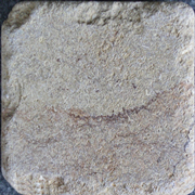 MM0069-s.jpg