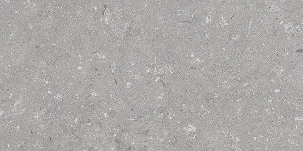 60120350-Shellstone1.jpg