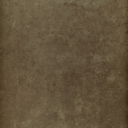S06-Olive-s.jpg