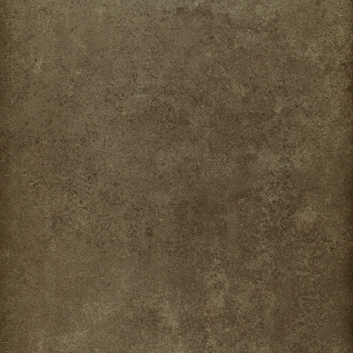 S06-Olive.jpg