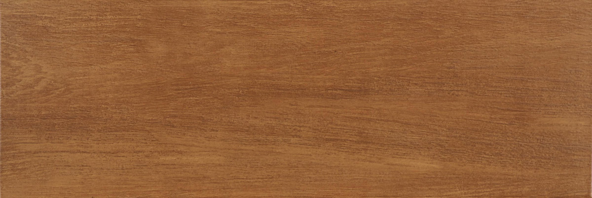 216303-Bosque.jpg