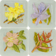 DC101052-K-Flora-s.jpg