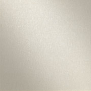 6060136-Wish-S.jpg