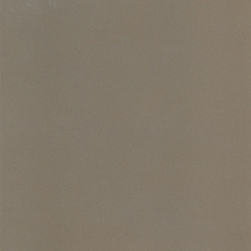 305615F-Vision.jpg