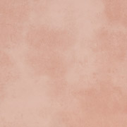254003F-s.jpg