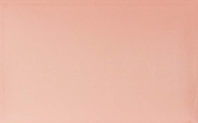 254003P-S.jpg