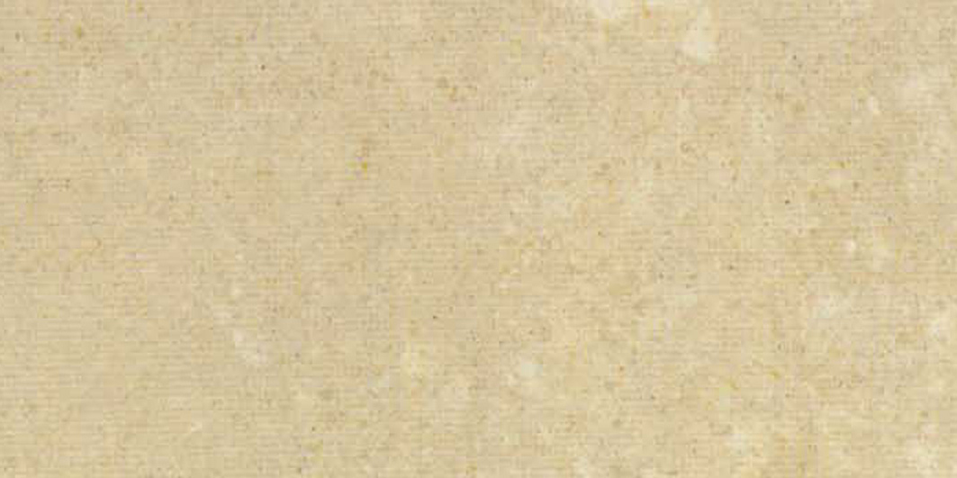 459004.jpg