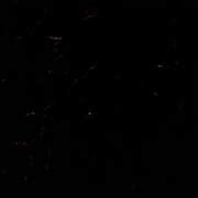 333308-s.jpg